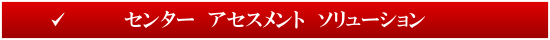 センター　アセスメント　ソリューション