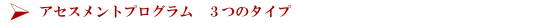 アセスメントプログラム　　３つのタイプ