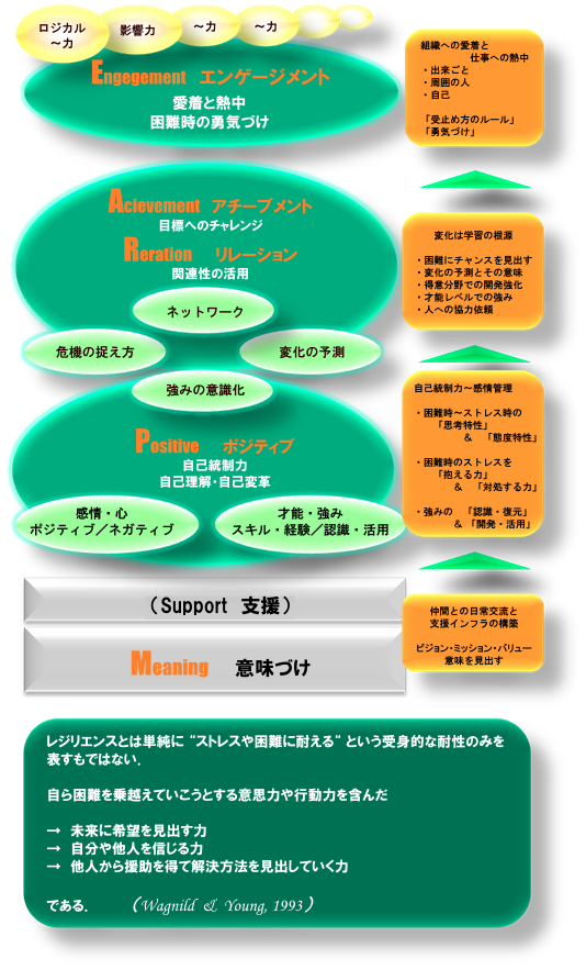 レジリエンスとは単純に “ストレスや困難に耐える“ という受身的な耐性のみを表すもではない　自ら困難を乗越えていこうとする意思力や行動力を含んだ　未来に希望を見出す力　自分や他人を信じる力　他人から援助を得て解決方法を見出していく力である（Wagnild  ＆Young, 1993）